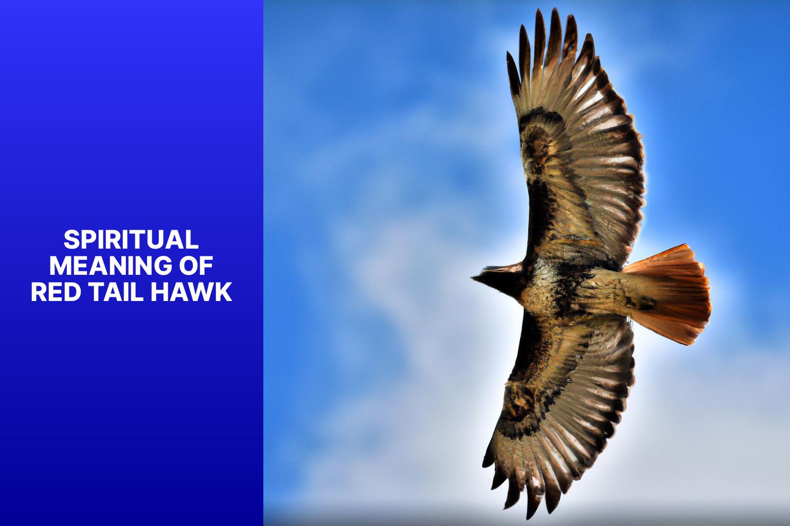 Exploring The Spiritual Meaning Of Red Tail Hawk Insights And