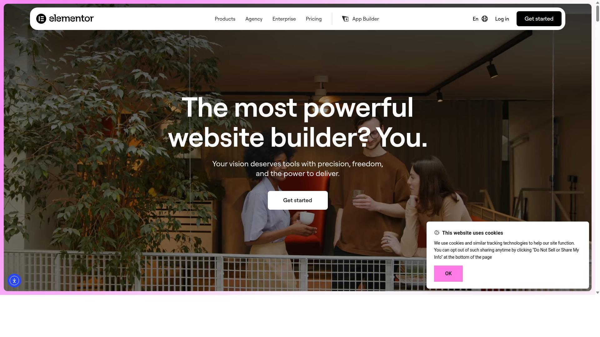 Elementor website