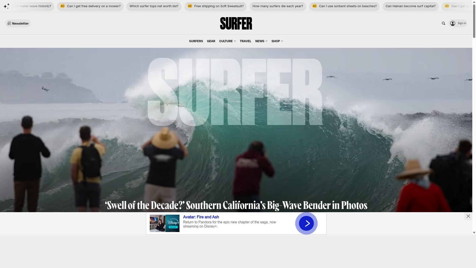 Surfer website