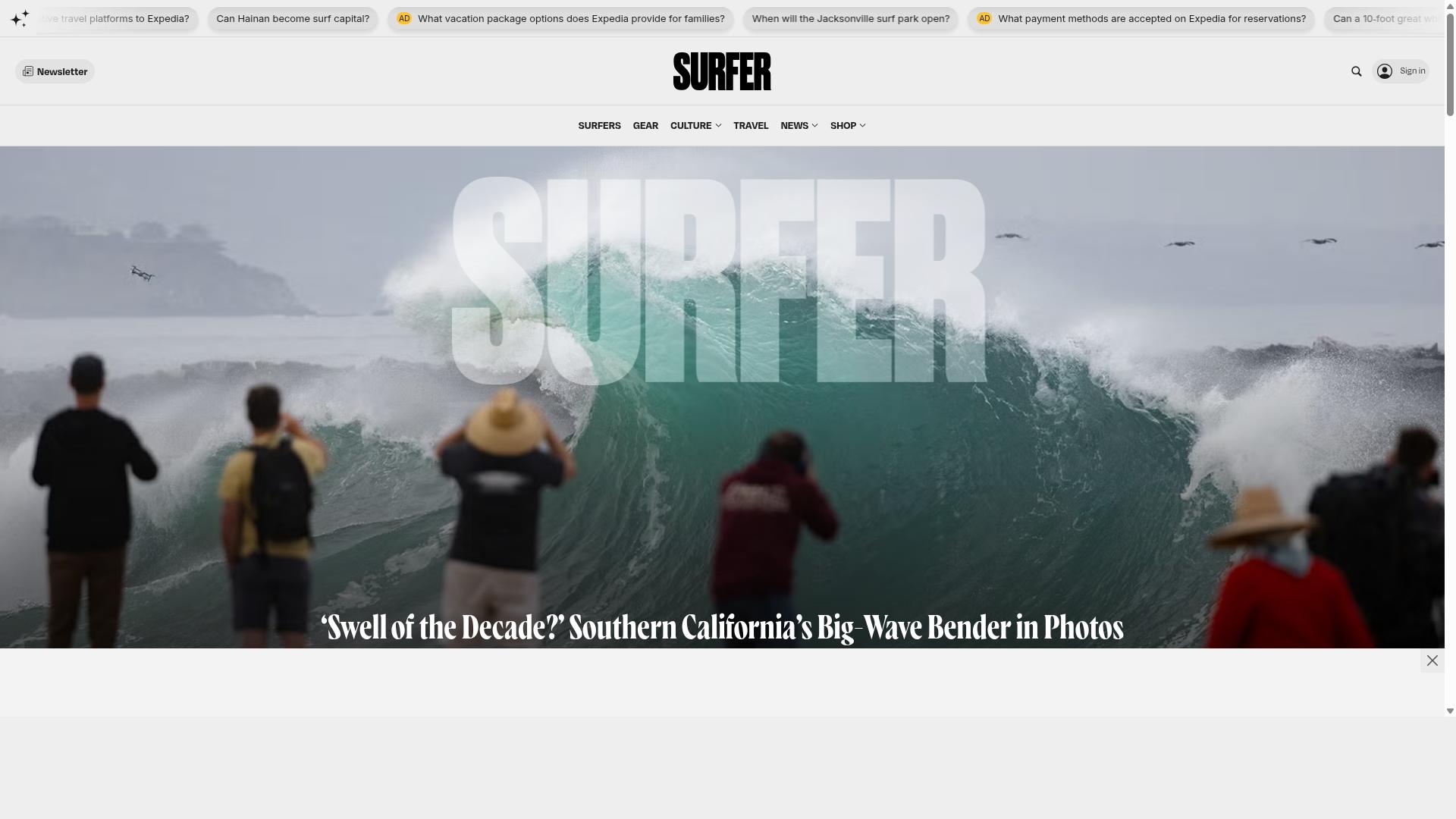 Surfer website