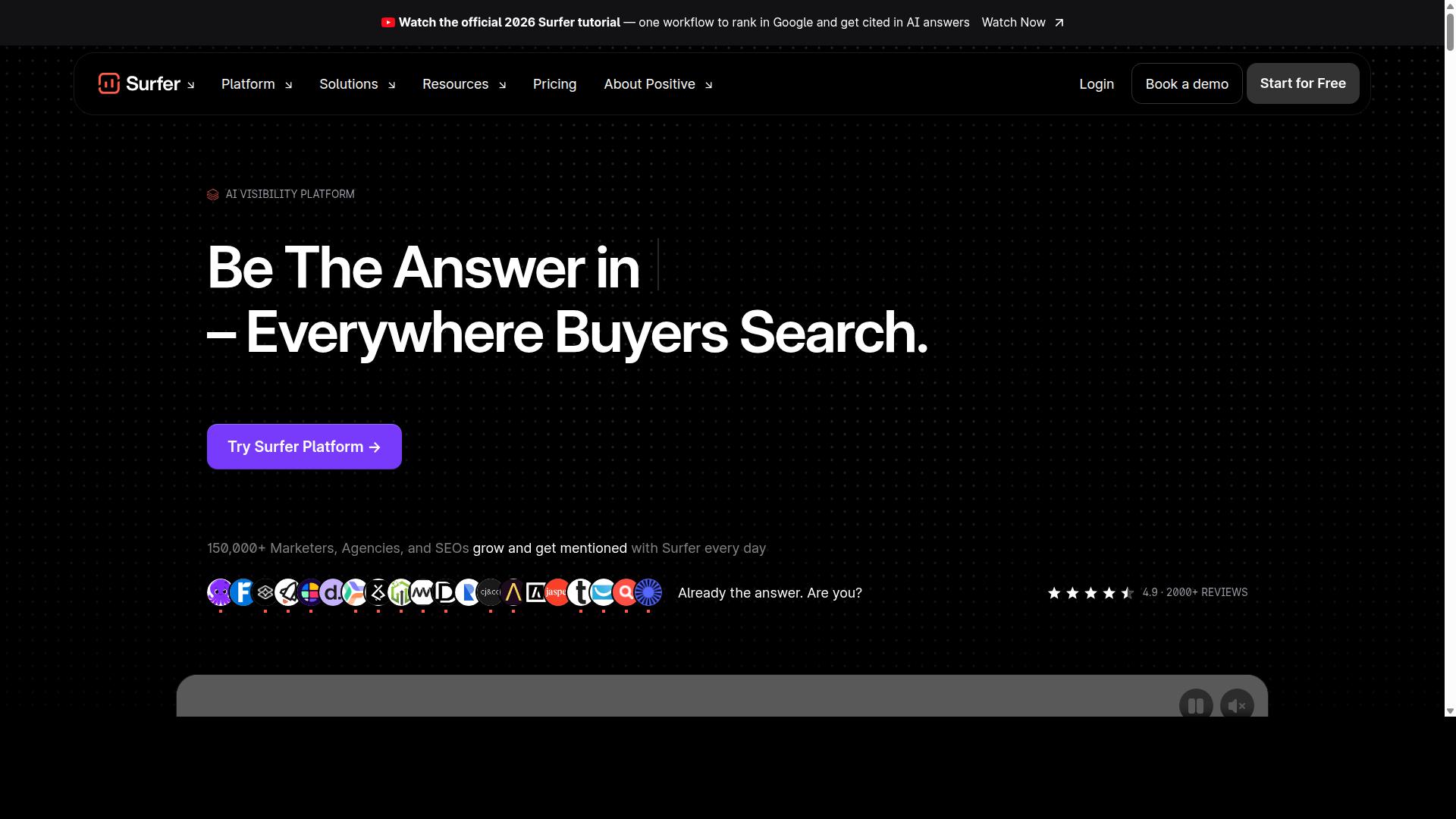 Surfer SEO website