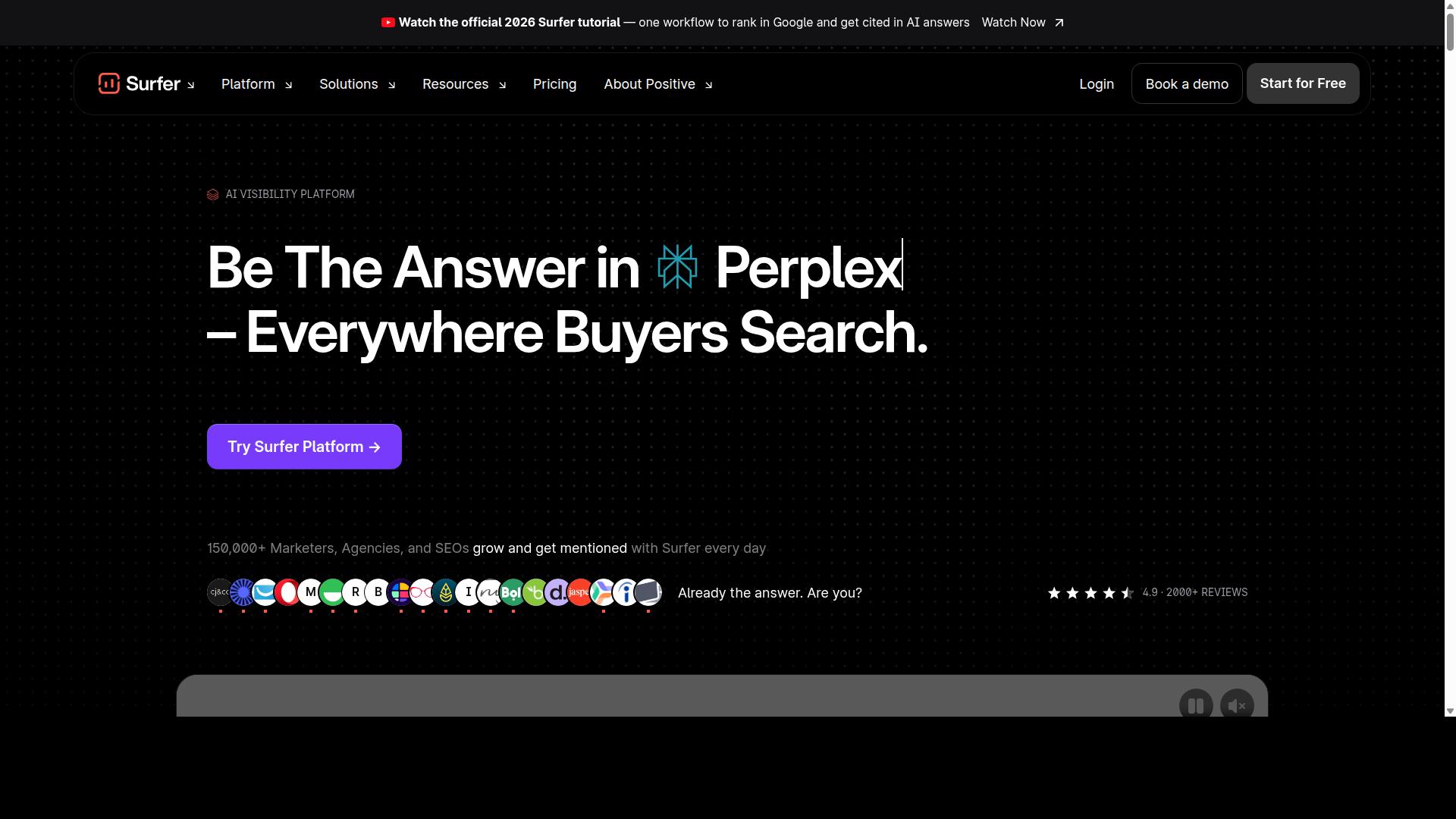 Surfer SEO website
