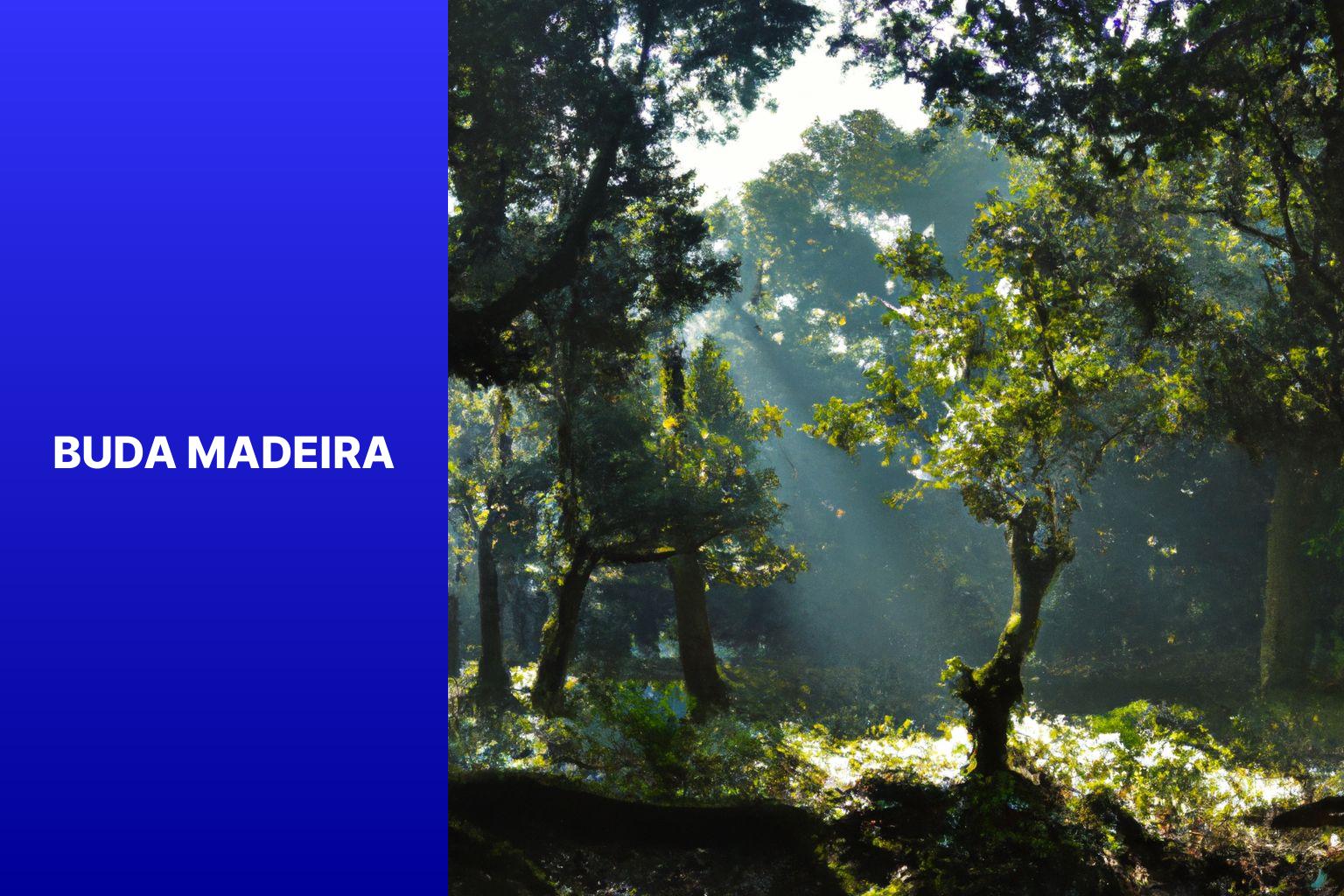 Buda Madeira