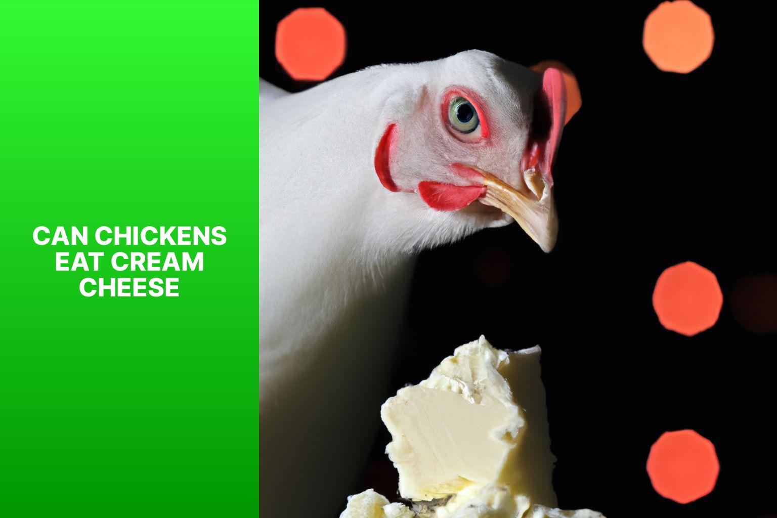 Can Chickens Eat Cream Cheese? Exploring the Safety and Benefits