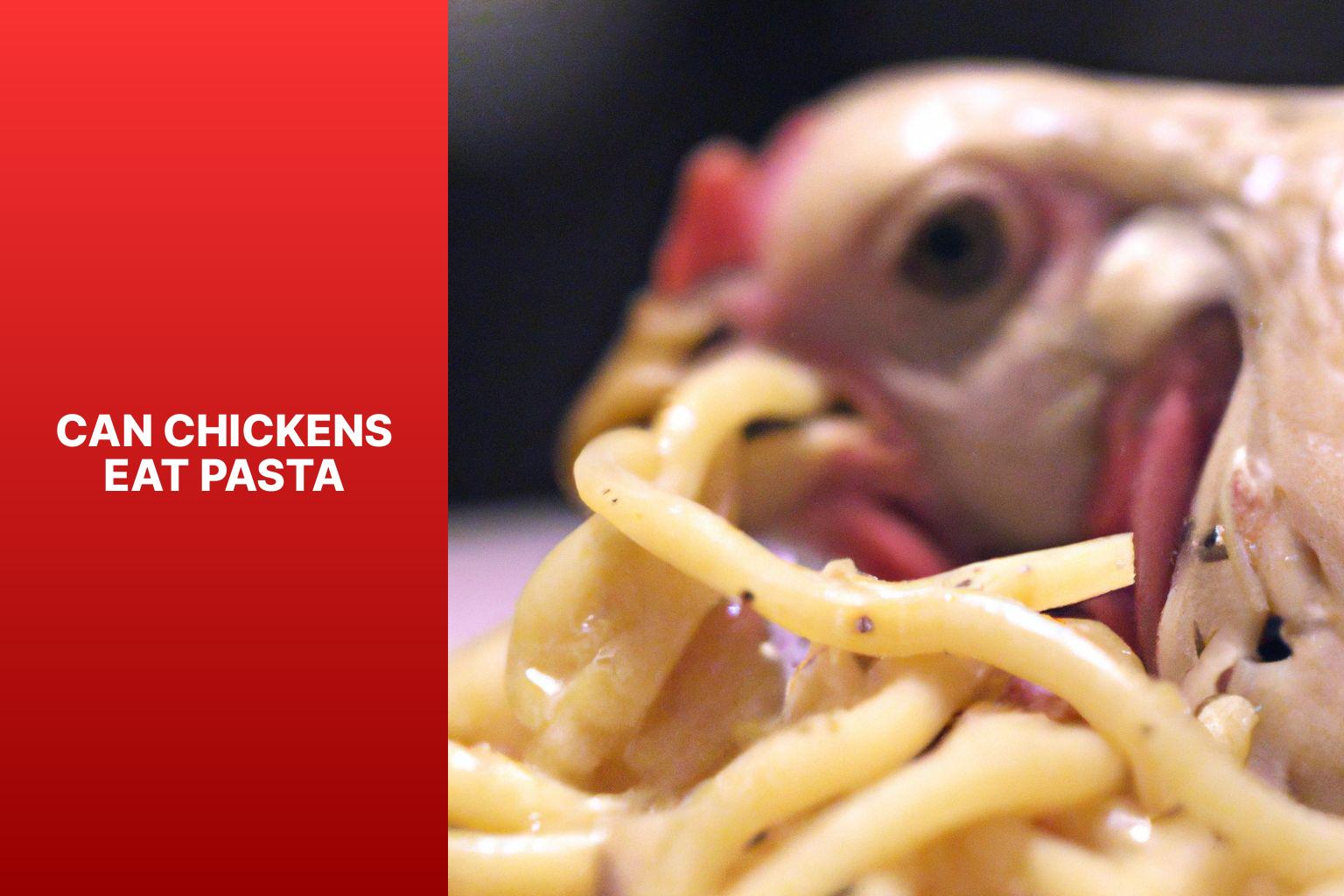 Can Chickens Eat Pasta? A Comprehensive Guide and Expert Advice