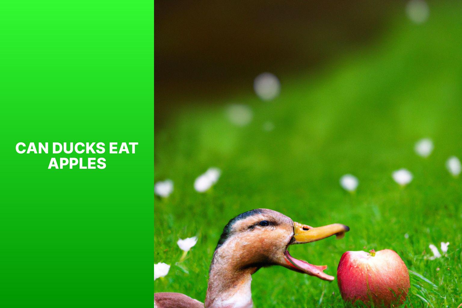Can Ducks Eat Apples? Learn About Ducks’ Apples Diet