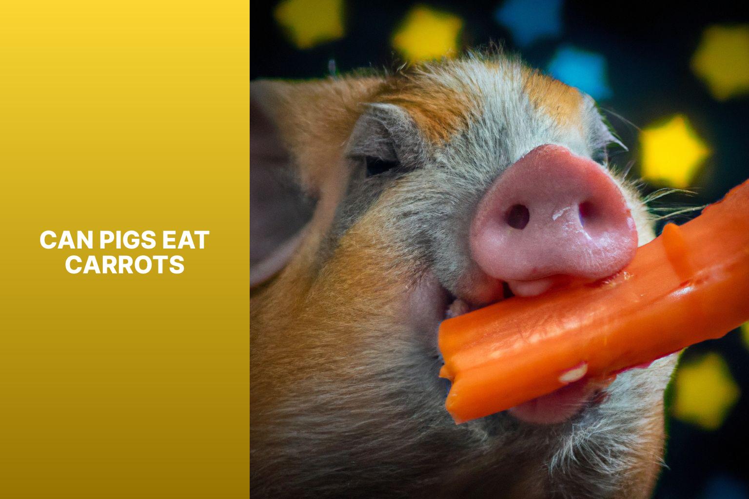 can pigs eat carrots