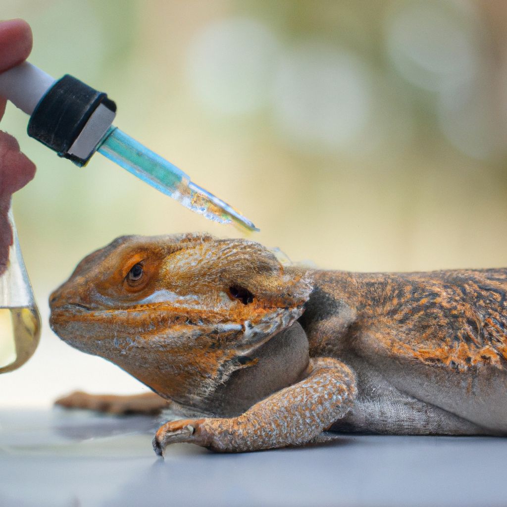 Can you use hydrogen peroxide on a bearded dragon