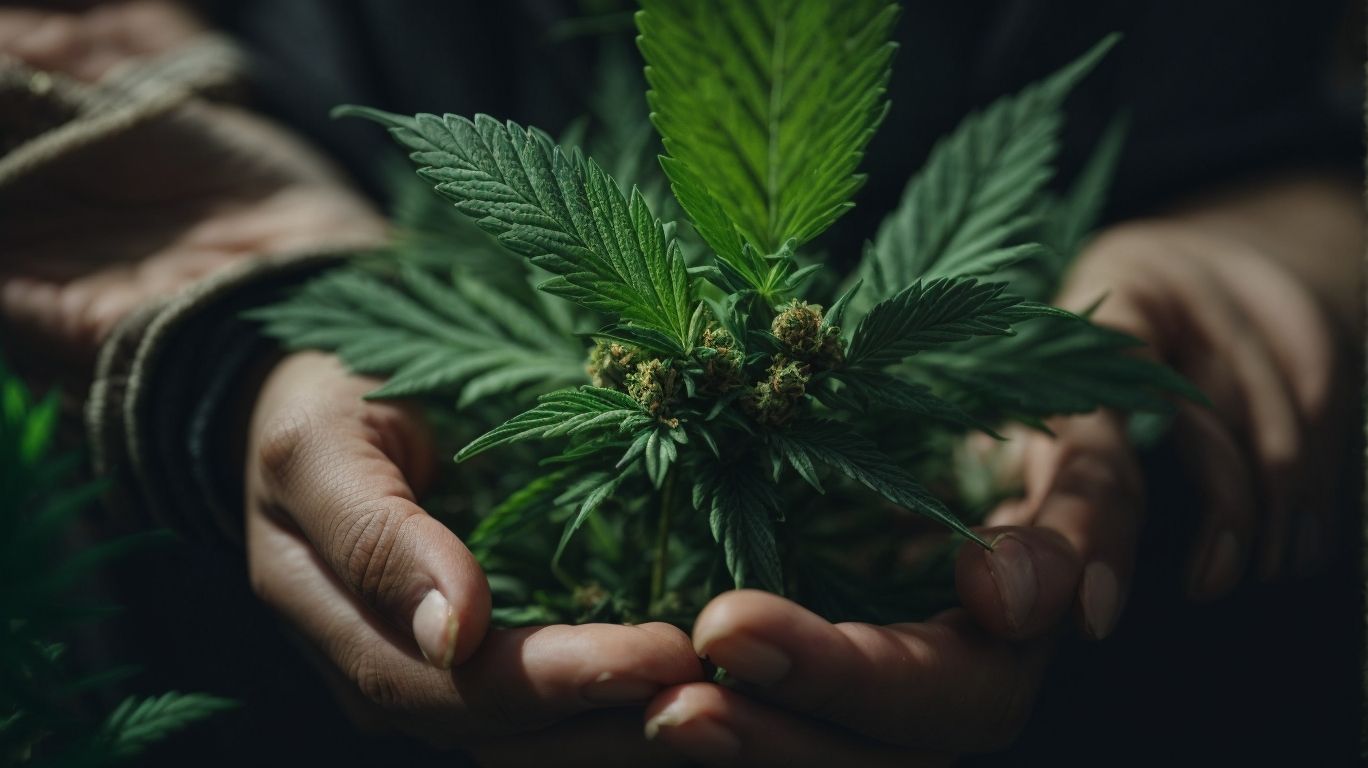 Cannabis and Mental Health Examining the relationship between cannabis use and mental health including benefits and risks Expertise Mental and Physical Health 