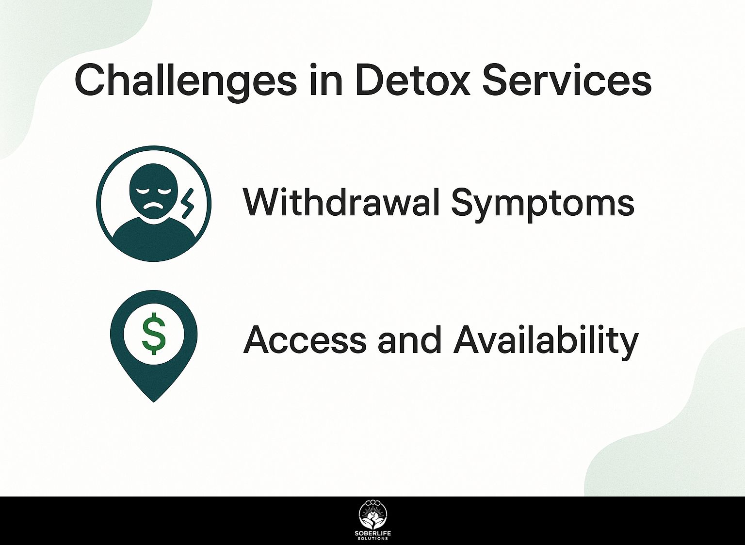 Challenges in Detox Services