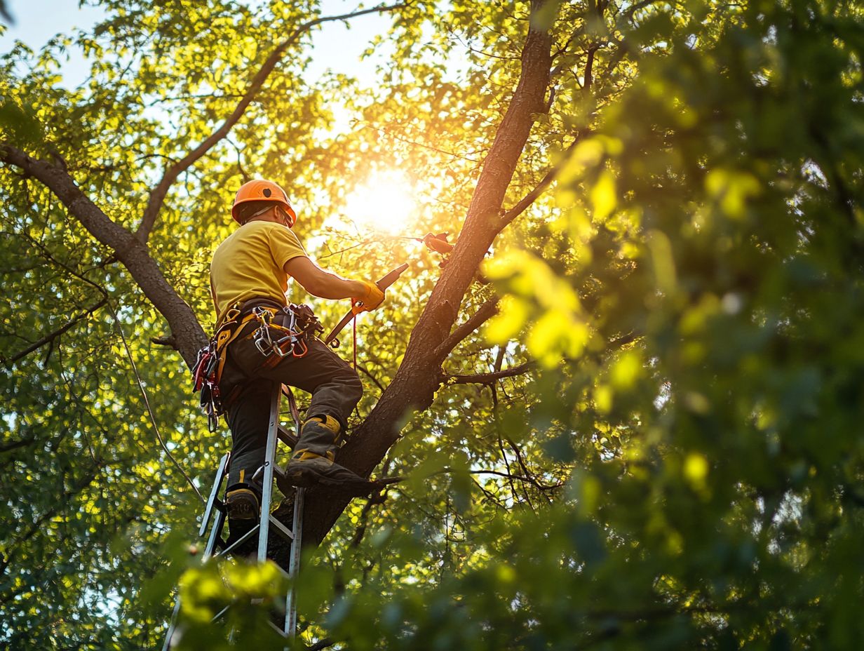 Gardening In The Mitten - Tree Lover's Diary - Getting friendly with my ...
