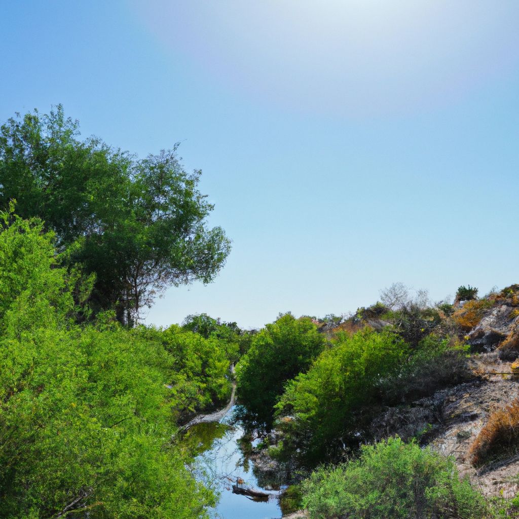 Experience Nature at Its Best at Ironwood Park in Scottsdale