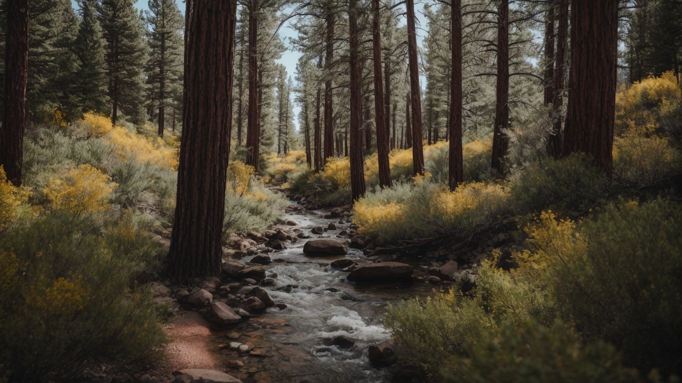 Flagstaff Hiking Trails - Joey Journeys