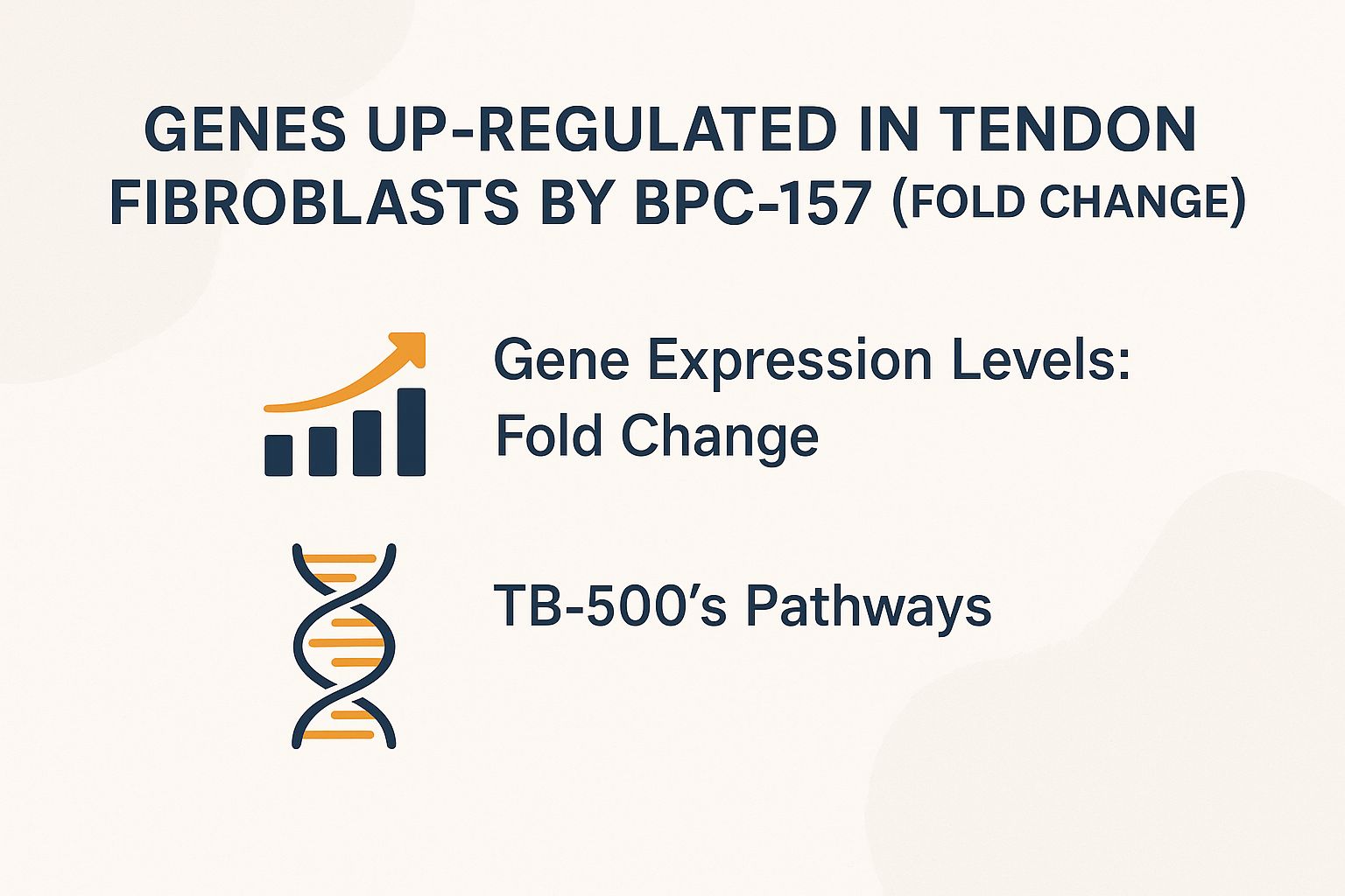 Genes Up-Regulated in Tendon Fibroblasts by BPC-157 (Fold Change)