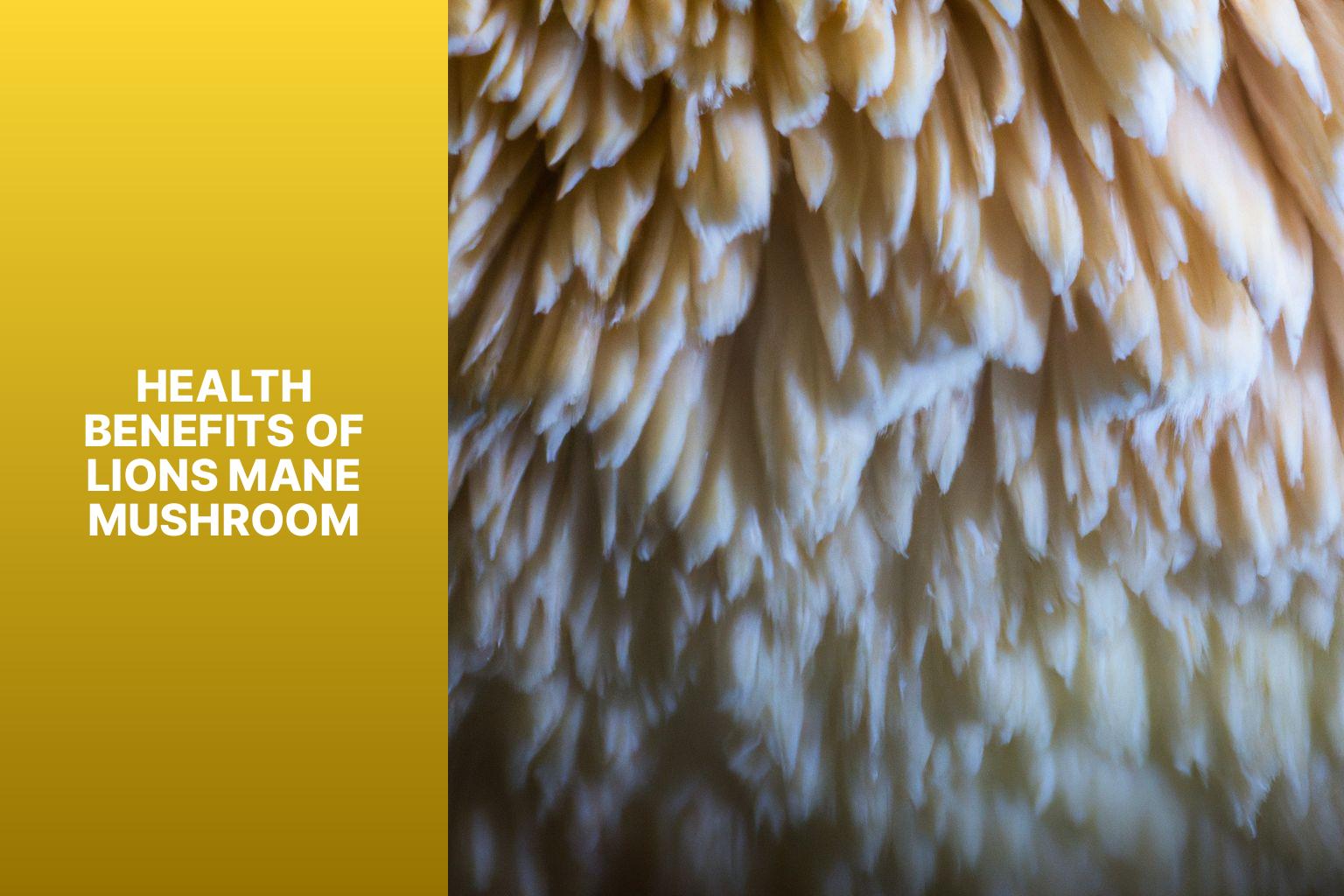 Health benefits of Lions Mane mushroom