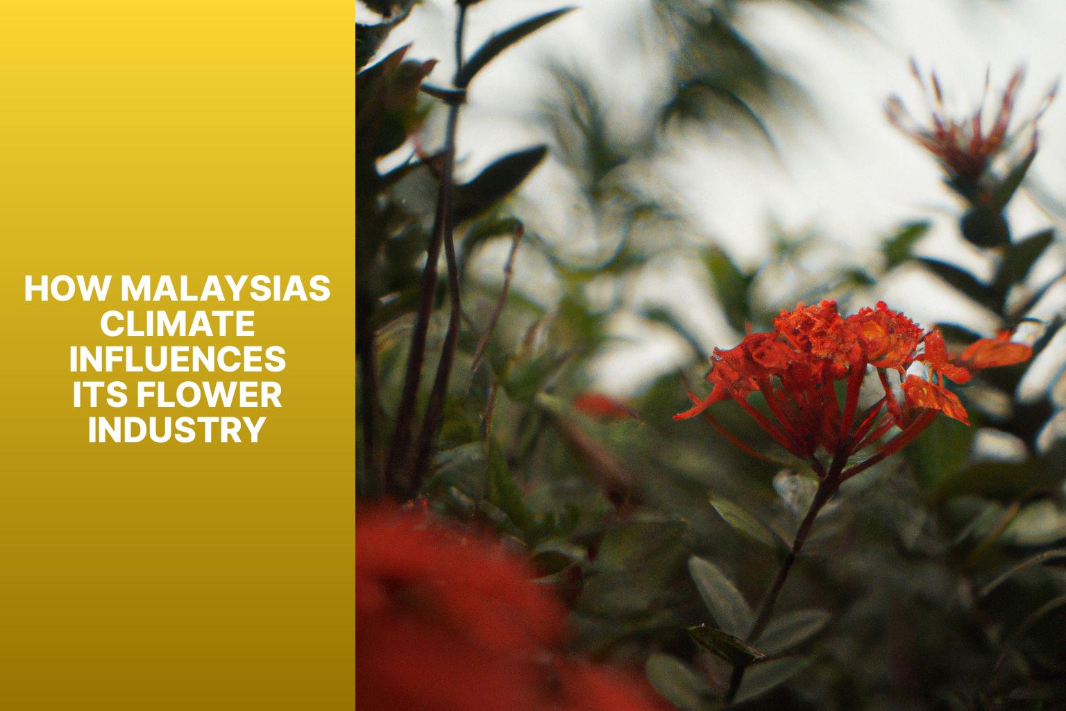 How Malaysias Climate Influences Its Flower Industry