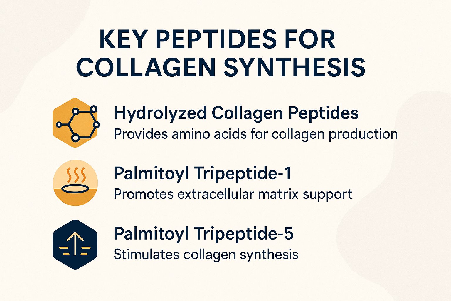 Key Peptides for Collagen Synthesis