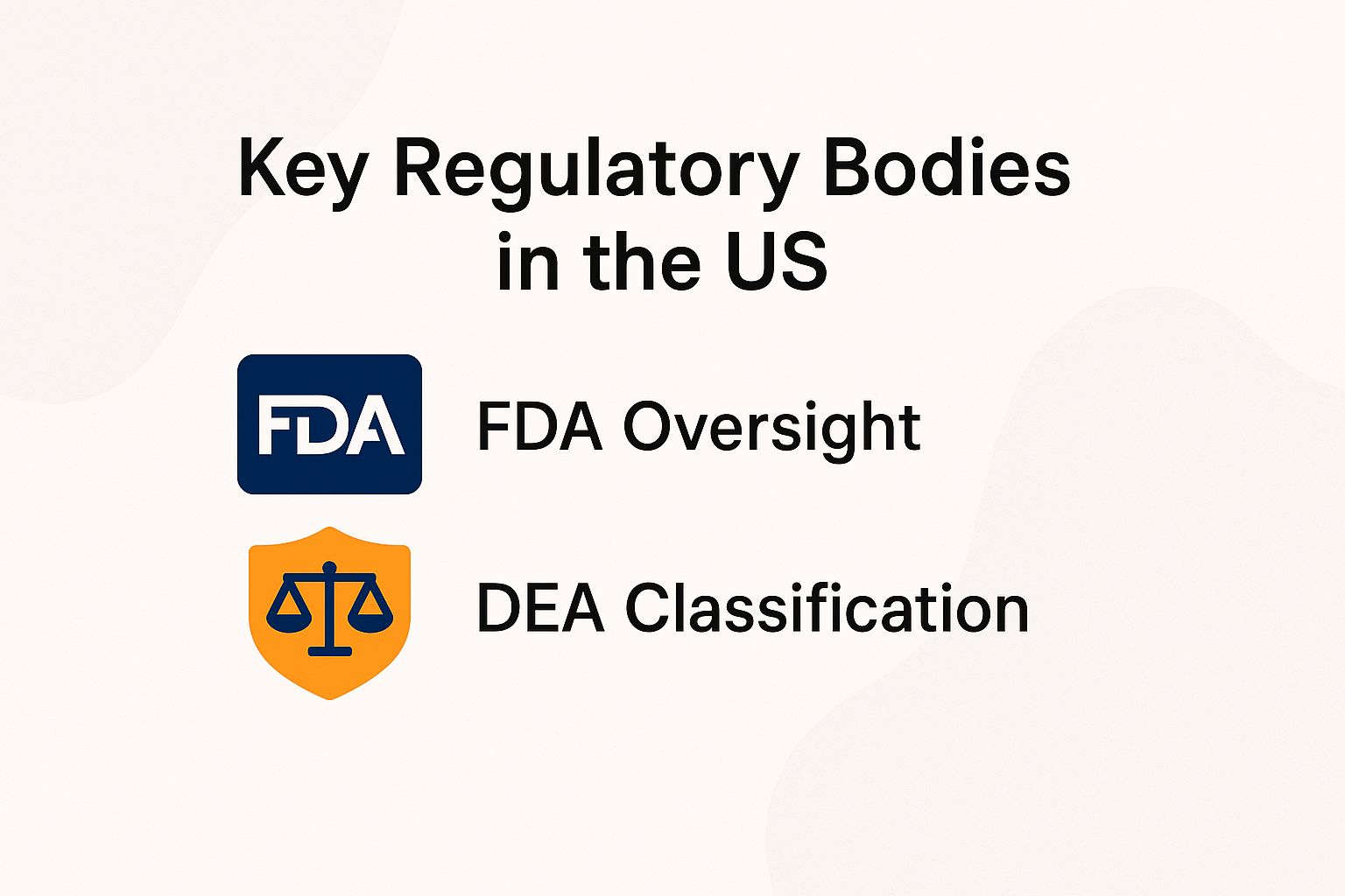 Key Regulatory Bodies in the US