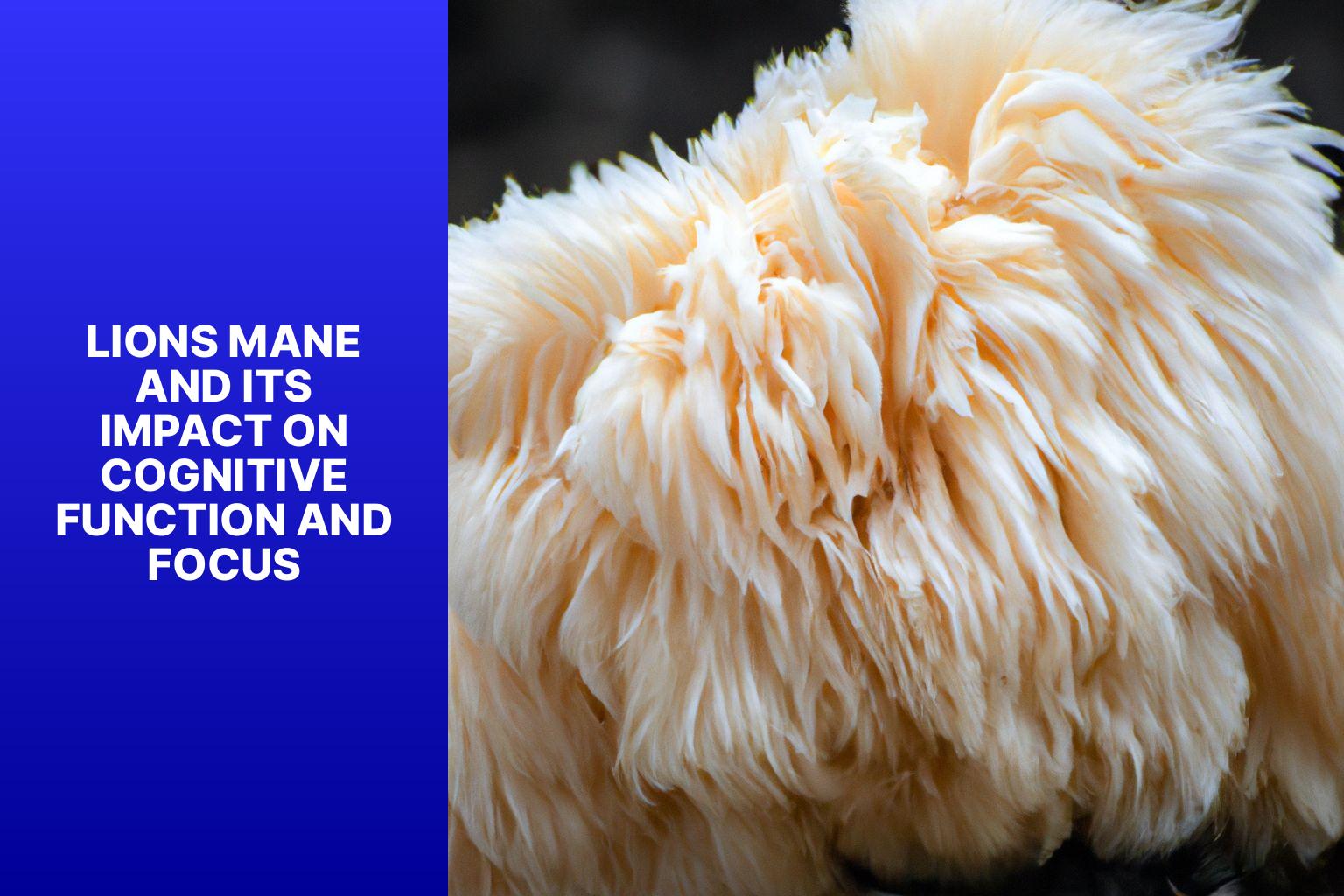 Lions Mane and its impact on cognitive function and focus