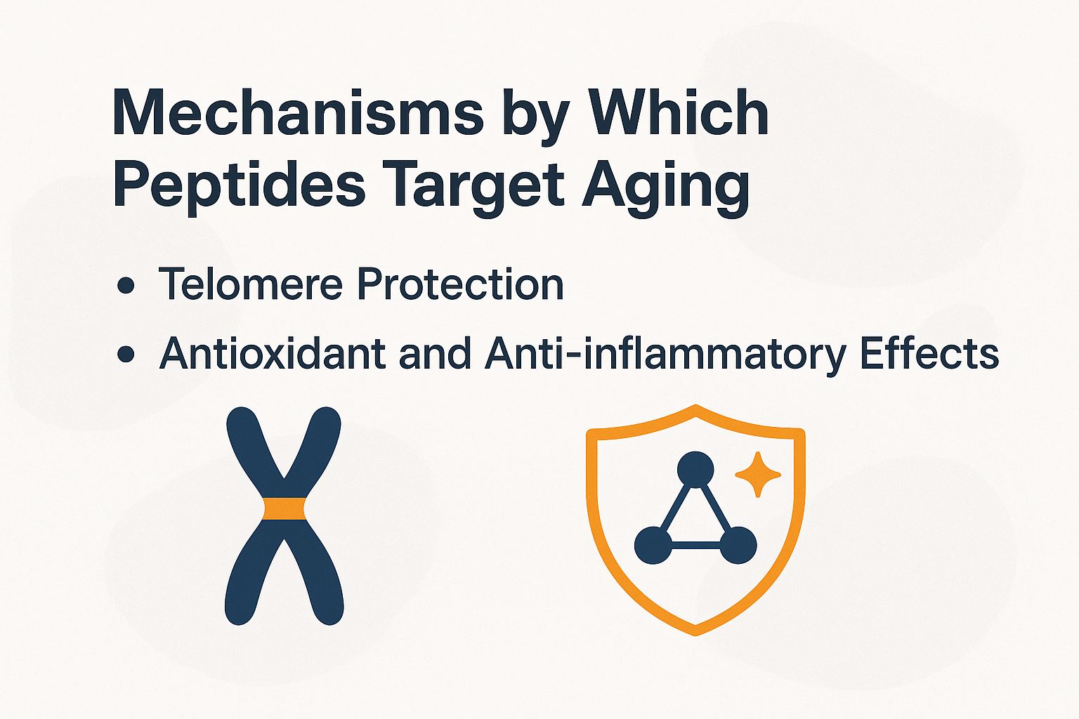 Mechanisms by Which Peptides Target Aging