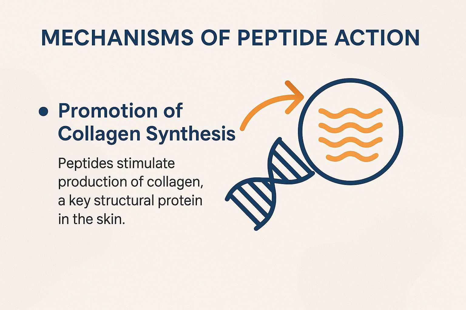 Mechanisms of Peptide Action