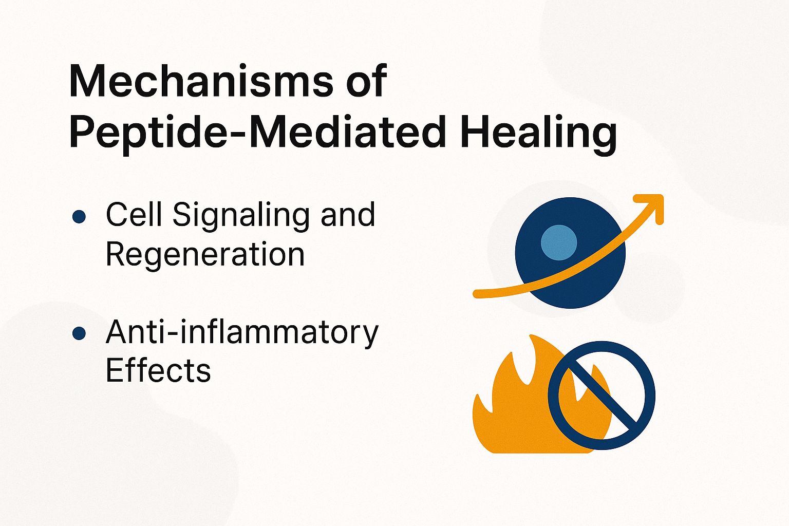 Mechanisms of Peptide-Mediated Healing