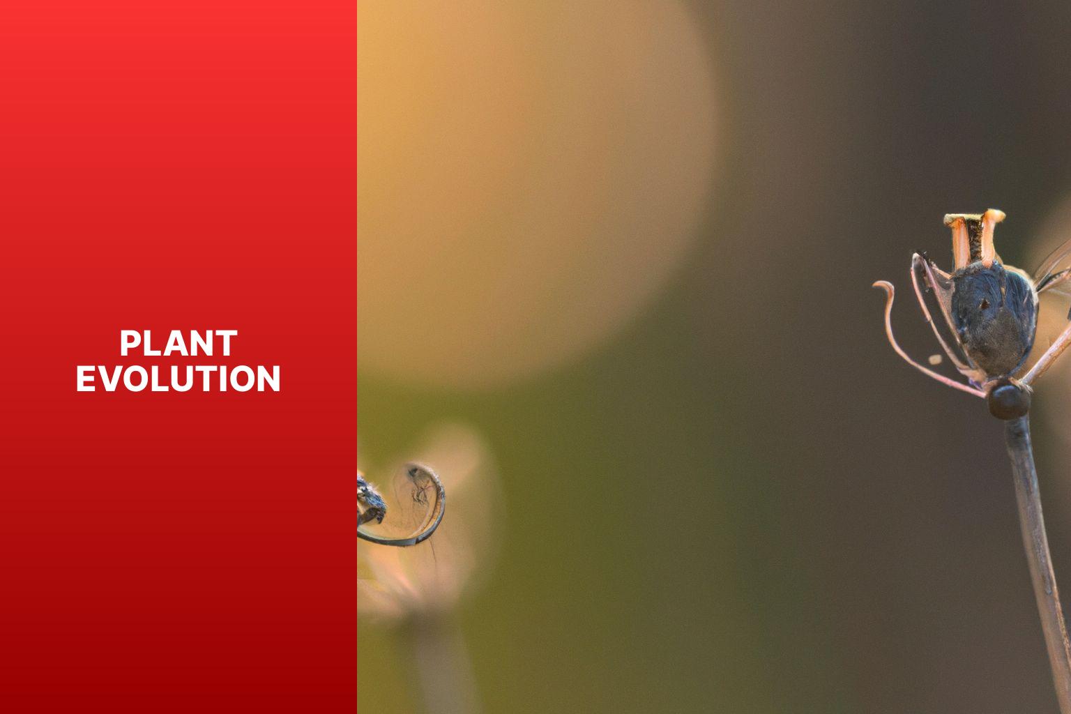 Plant Evolution - PFFP