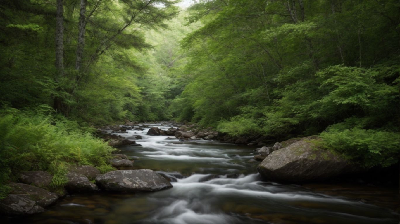 Rapid River, Maine: An In-Depth Guide to Fly Fishing Paradise