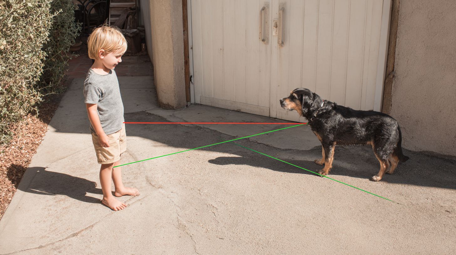 Pros and Cons Comparison