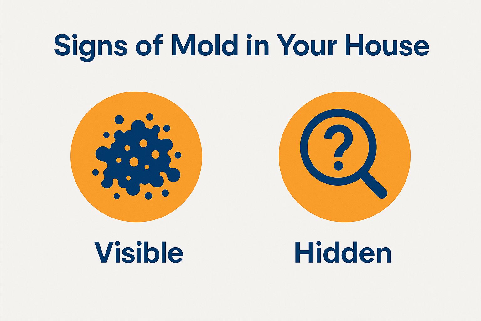 Signs of Mold in Your House