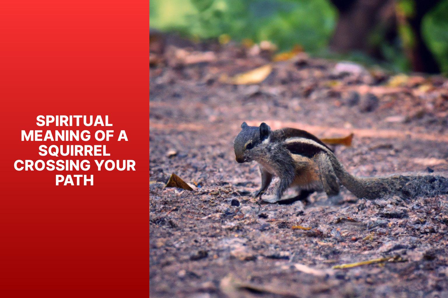Discover the Spiritual Meaning of a Squirrel Crossing Your Path Unveiling Spiritual Messages