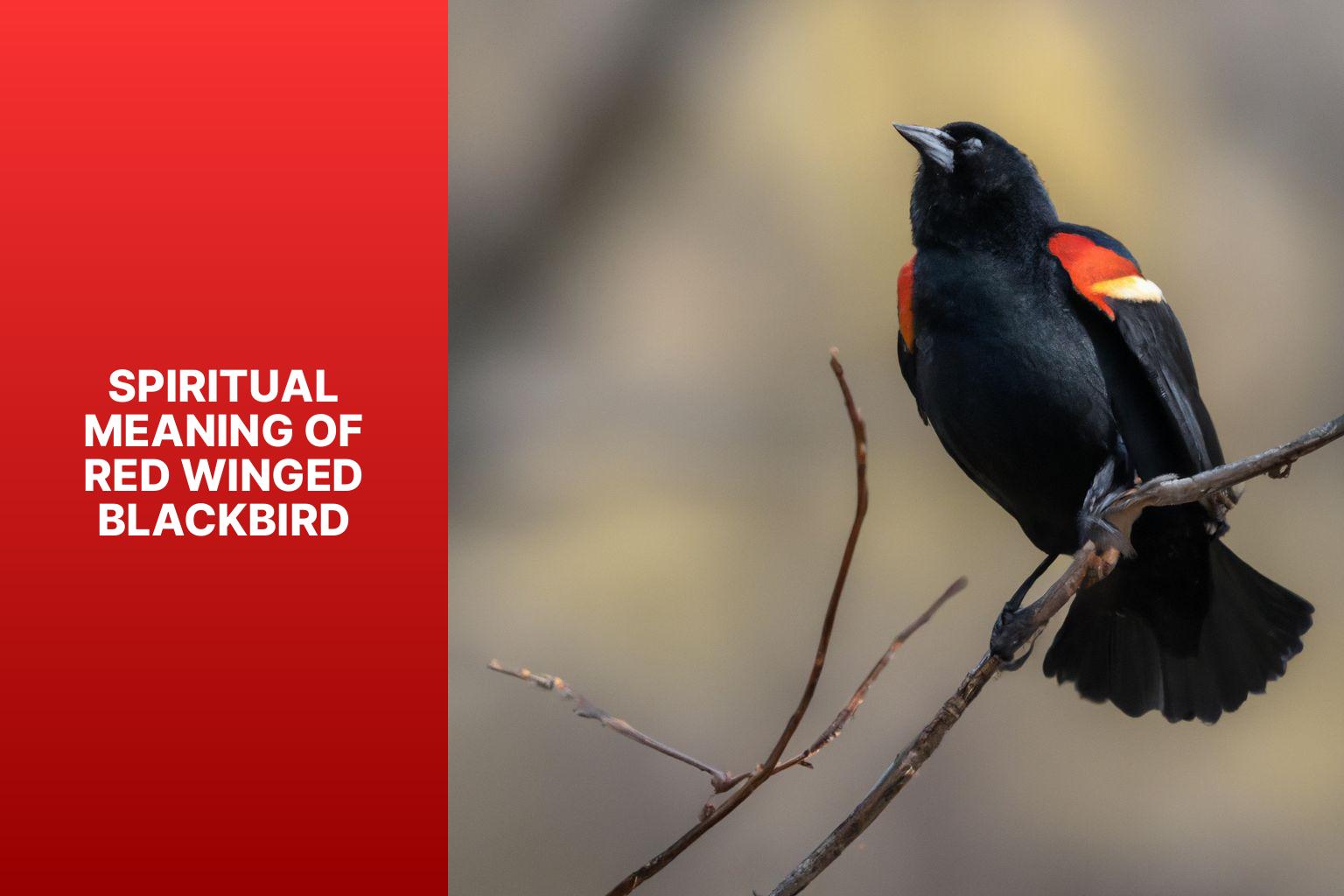 Unveiling the Spiritual Significance of RedWinged Blackbird Symbolism