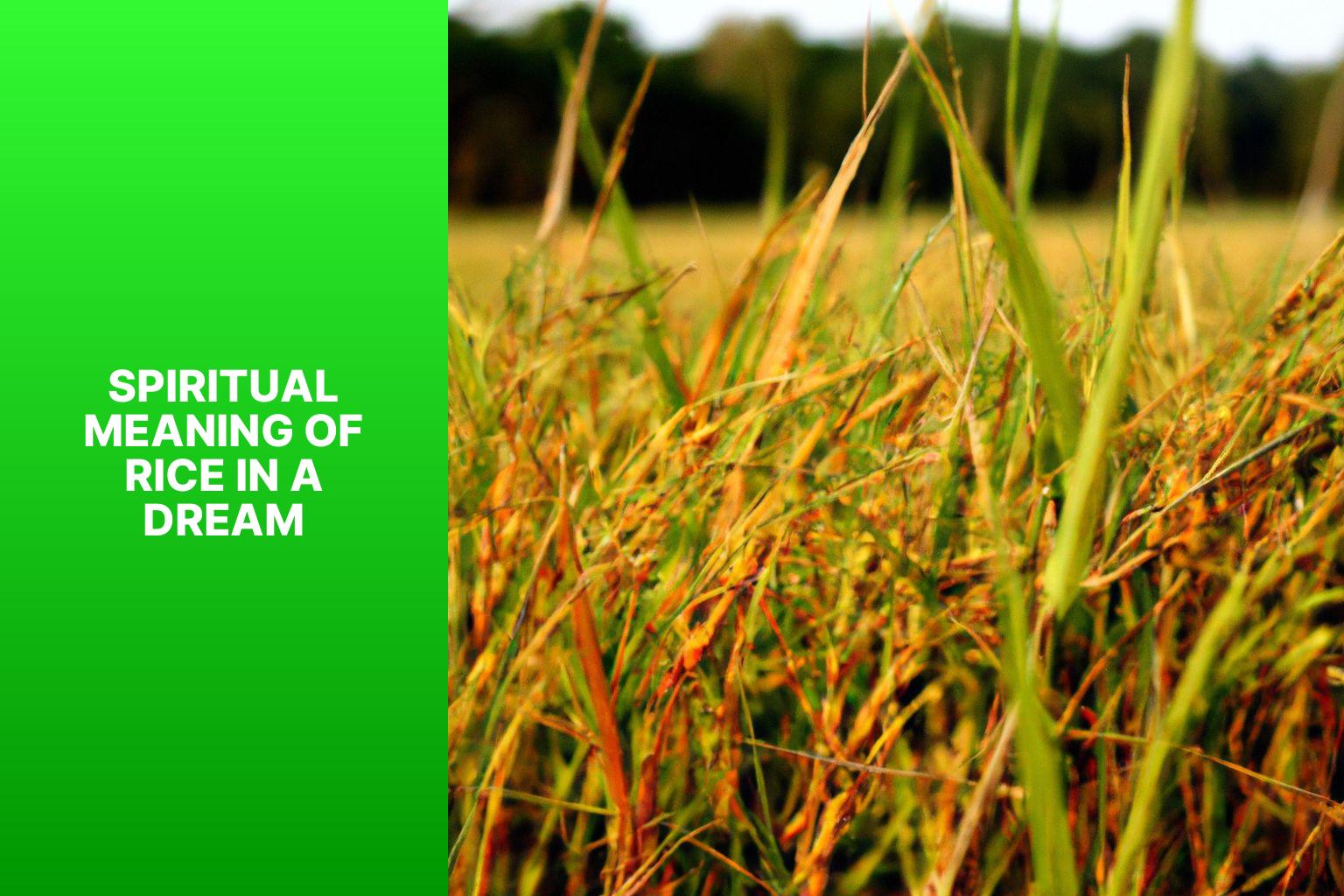 Understanding the Spiritual Meaning of Rice in a Dream Unveiling its Symbolic Significance