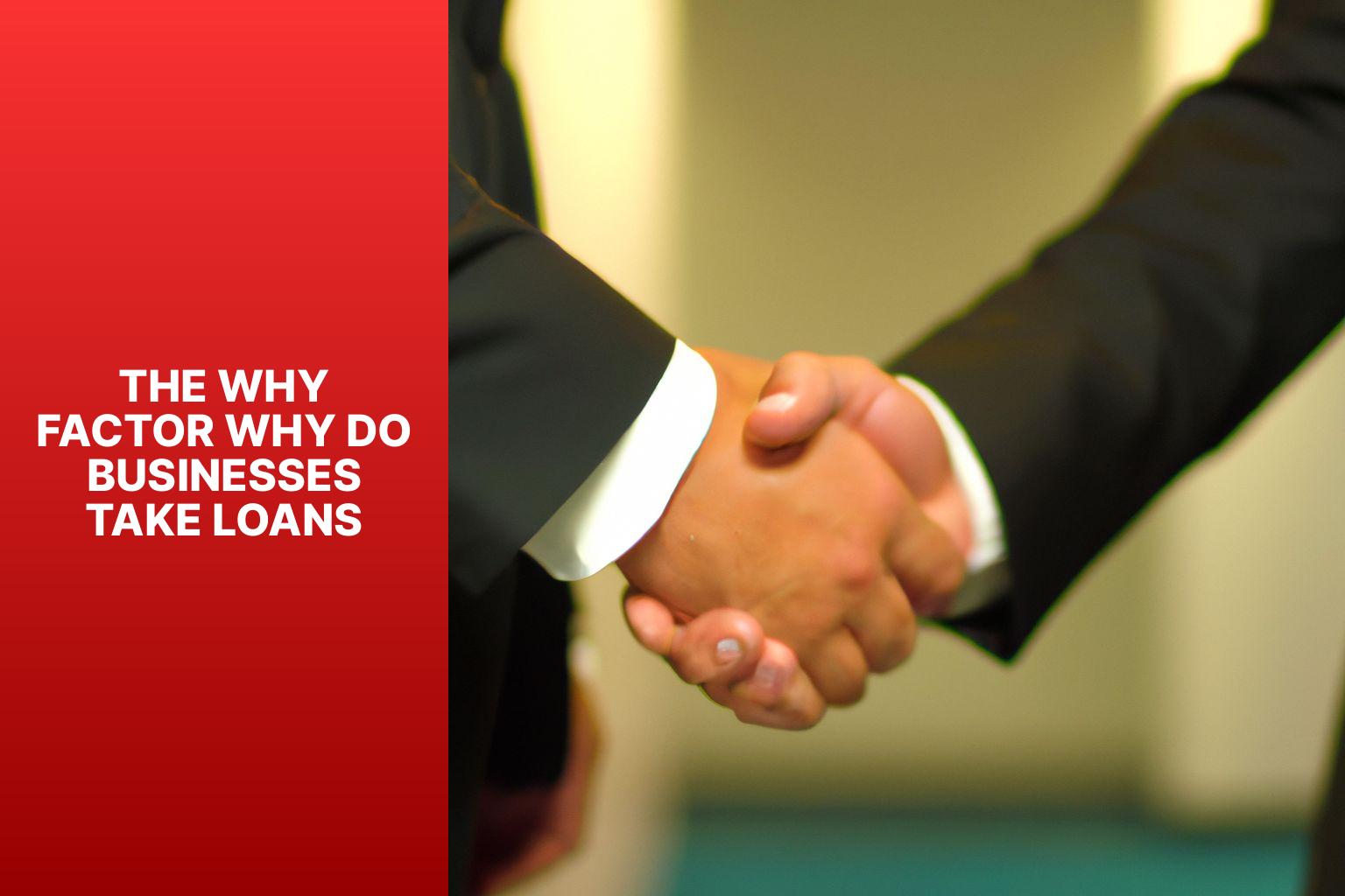 The Why Factor Why Do Businesses Take Loans