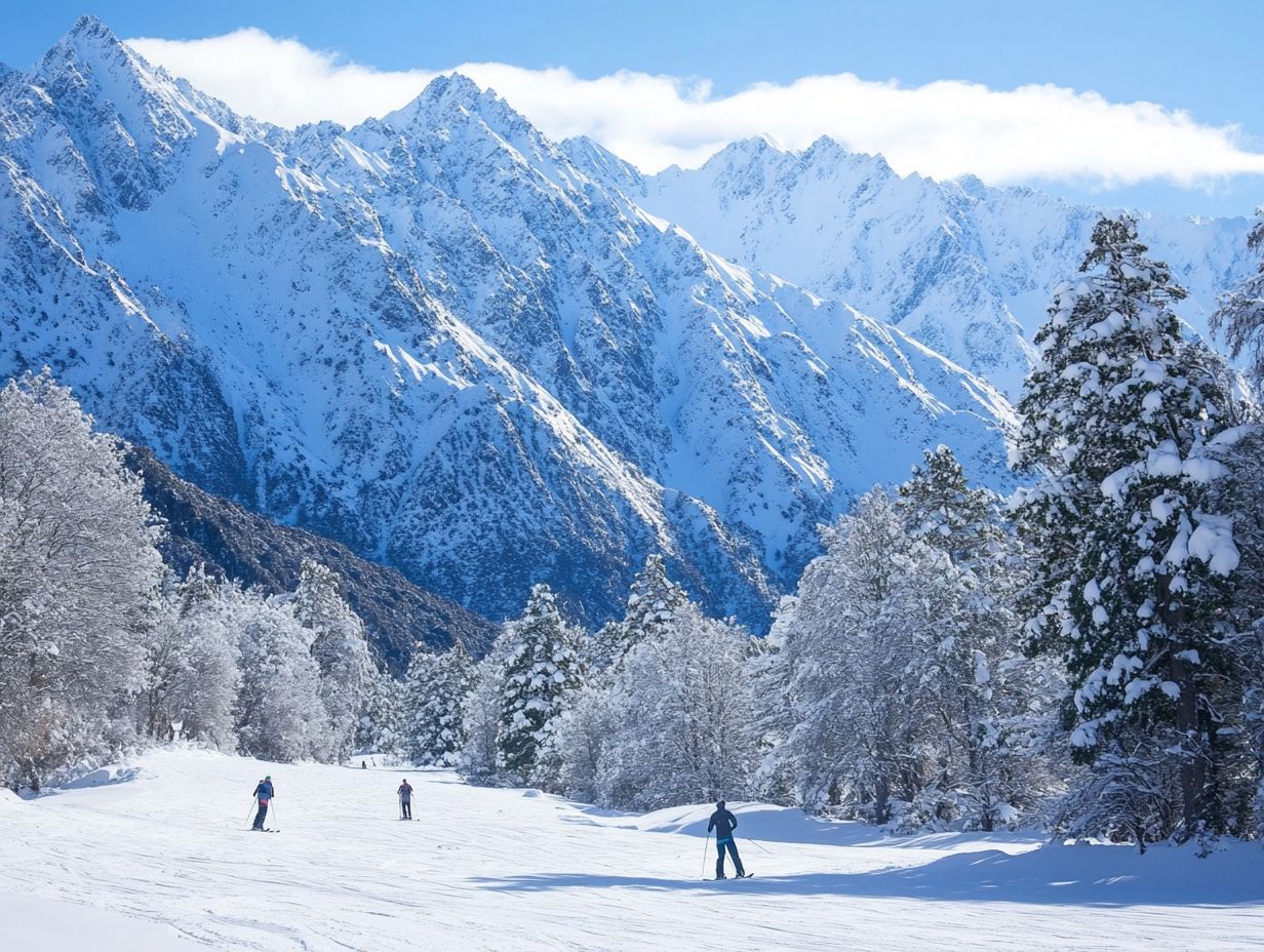 Top Skiing Spots In New Zealand