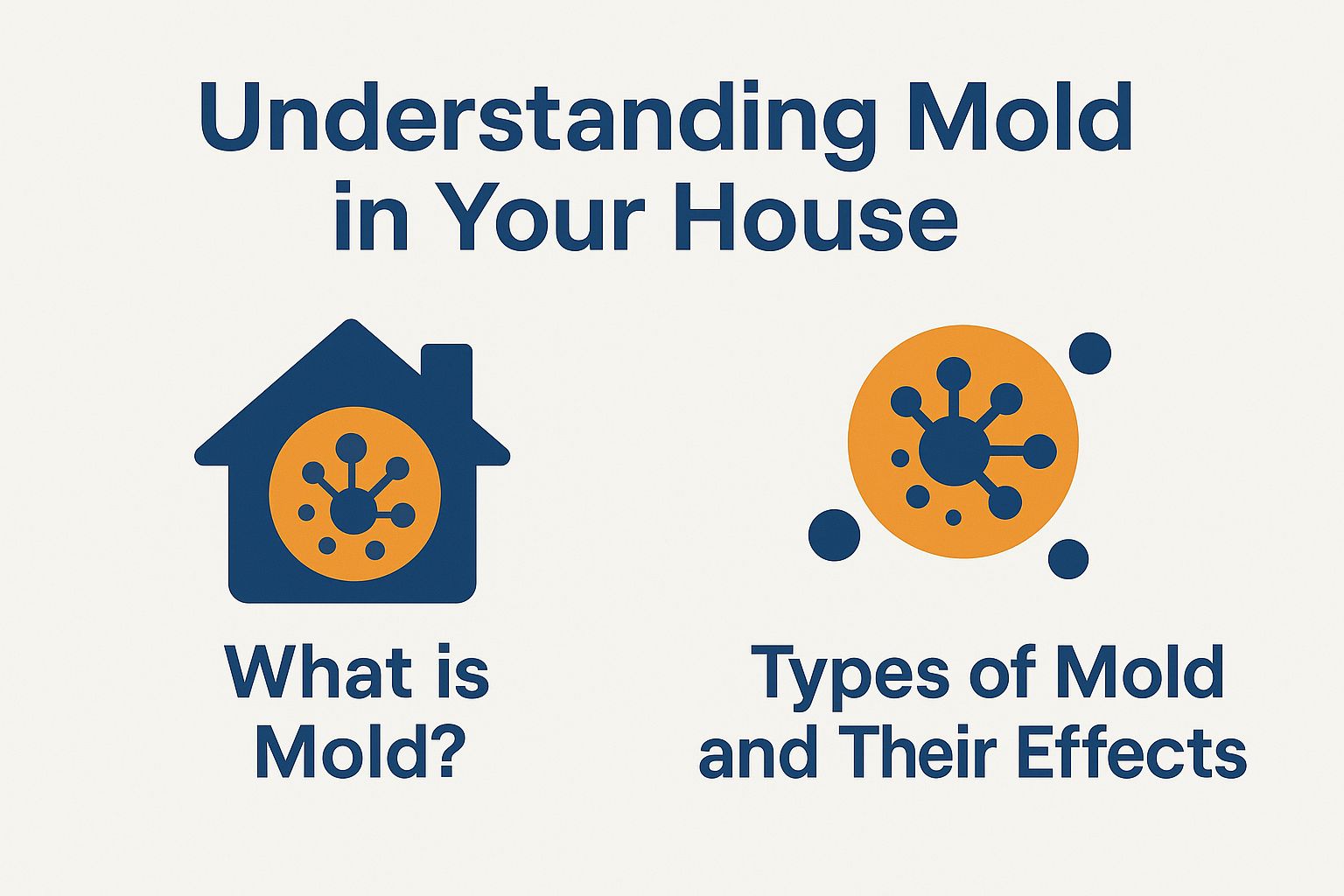 Understanding Mold in Your House