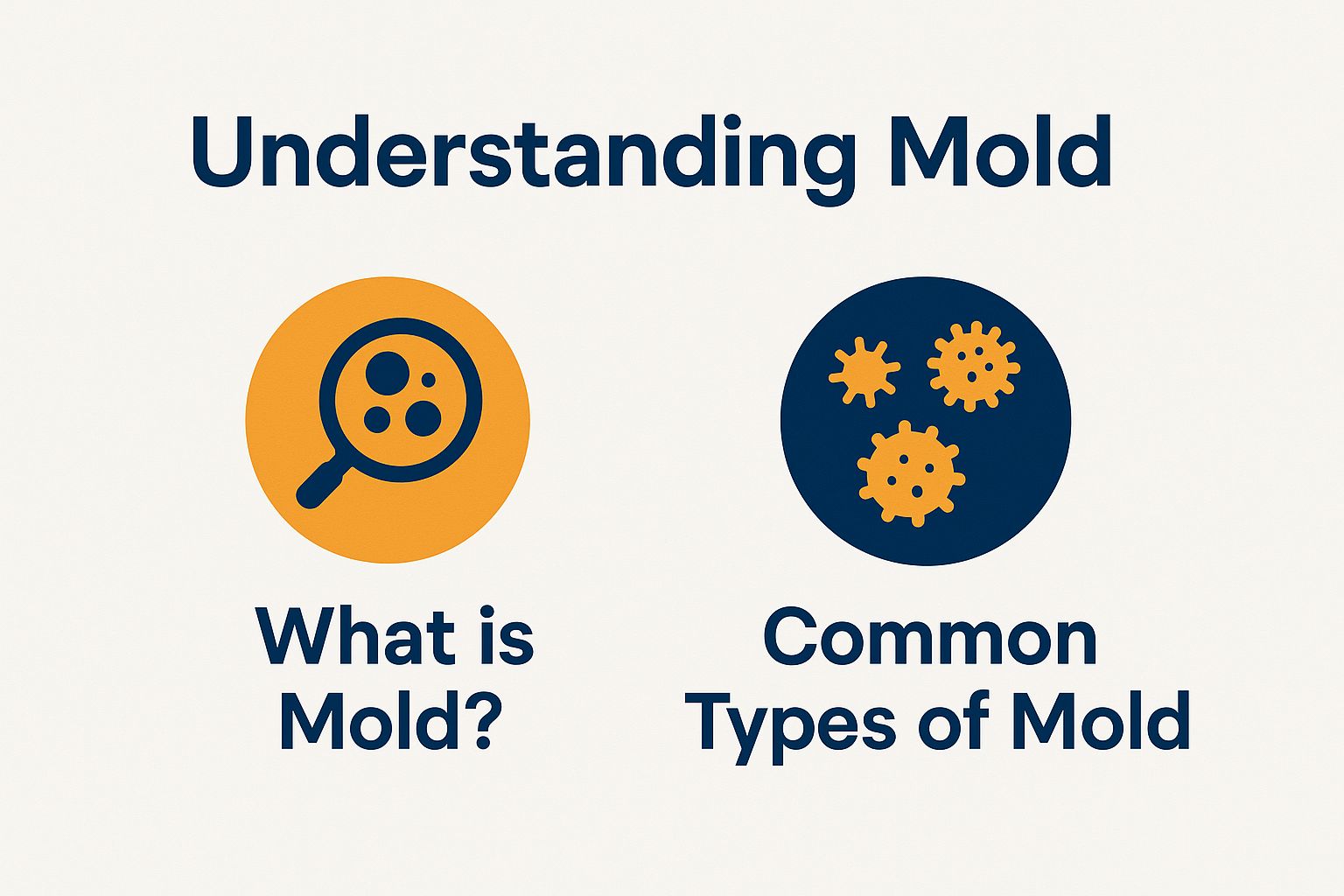 Understanding Mold