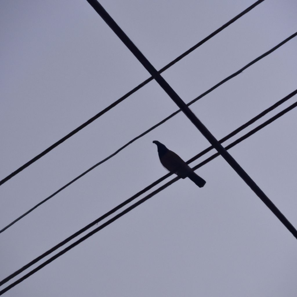 Warum sitzen Vgel auf Stromleitungen