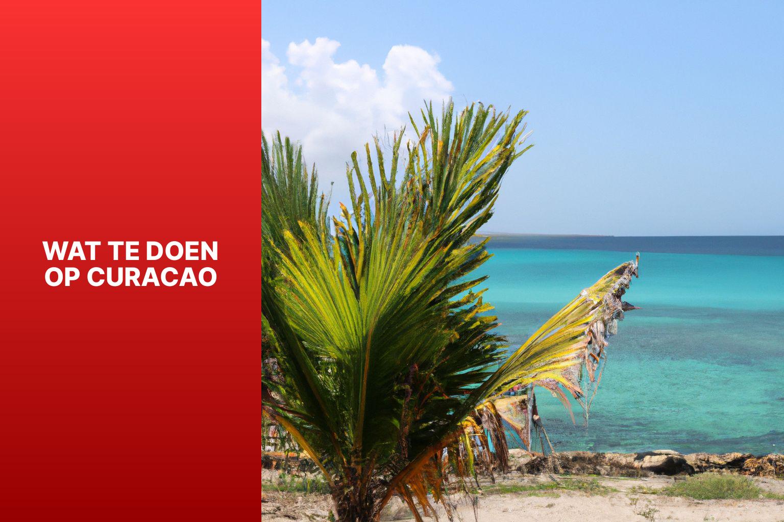wat te doen op curacao
