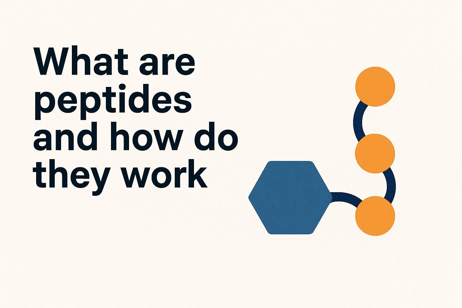 What are peptides and how do they work