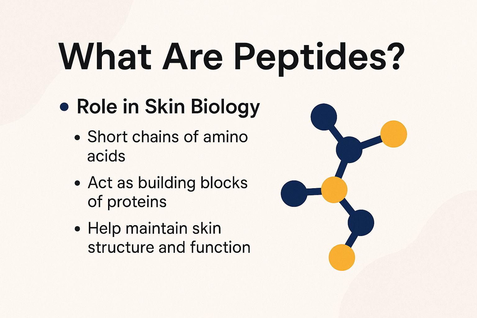 What Are Peptides?