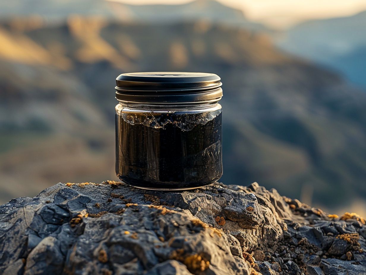 What Is Shilajit Made Of?