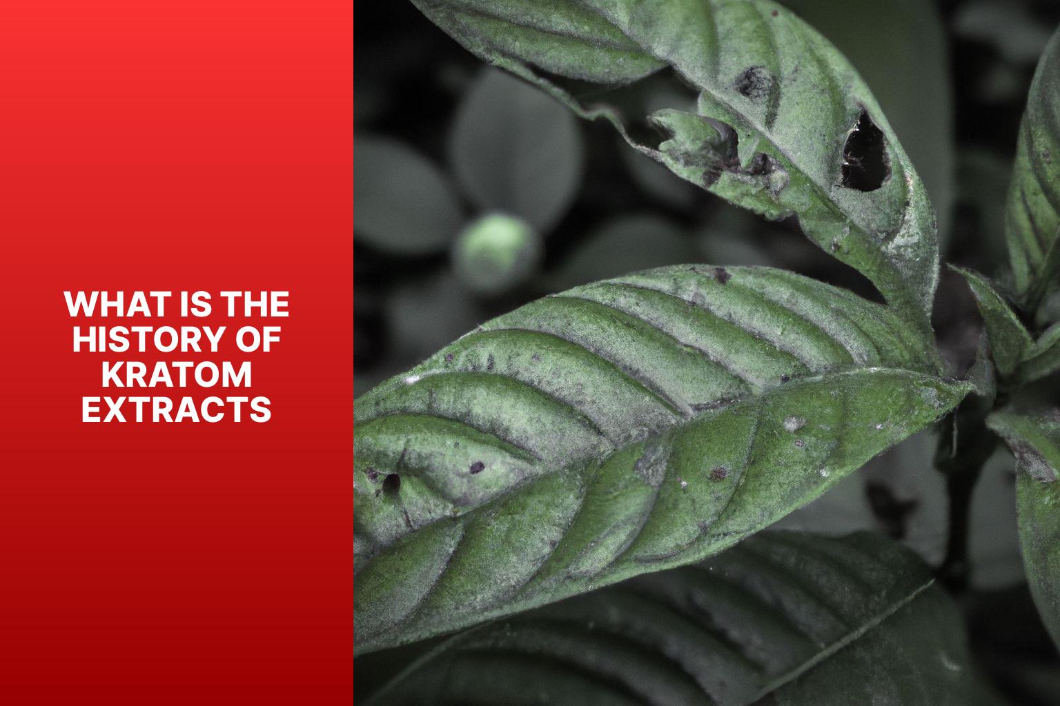 What is the history of kratom extracts