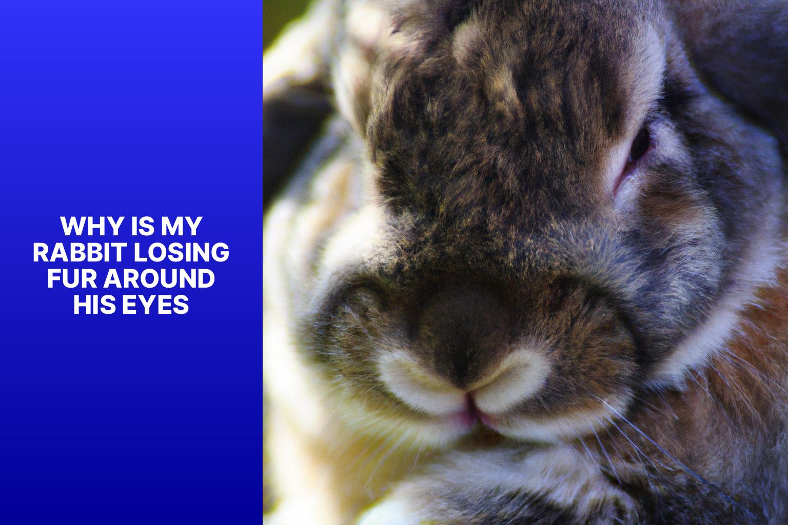 why is my rabbit losing fur around his eyes