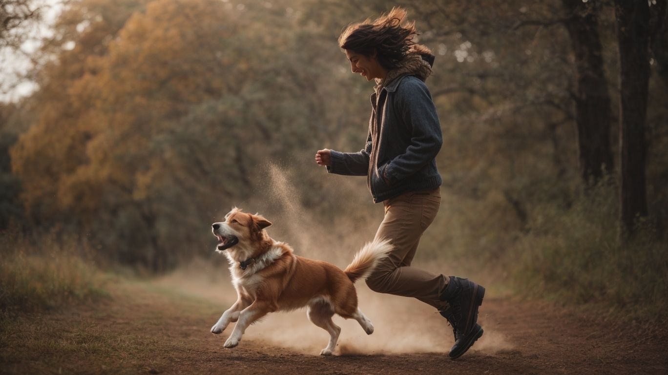 Wie kann ich meinen Hund dazu bringen, mich zu besteigen? Tipps und Tricks
